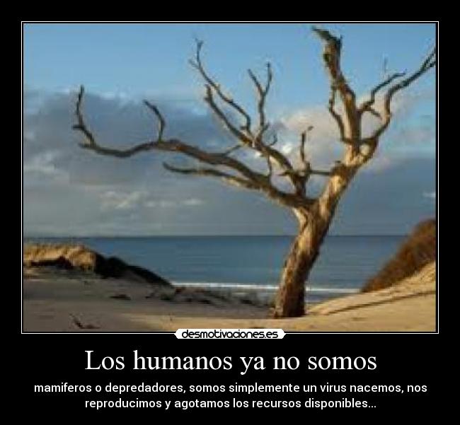 Los humanos ya no somos - mamiferos o depredadores, somos simplemente un virus nacemos, nos
reproducimos y agotamos los recursos disponibles...