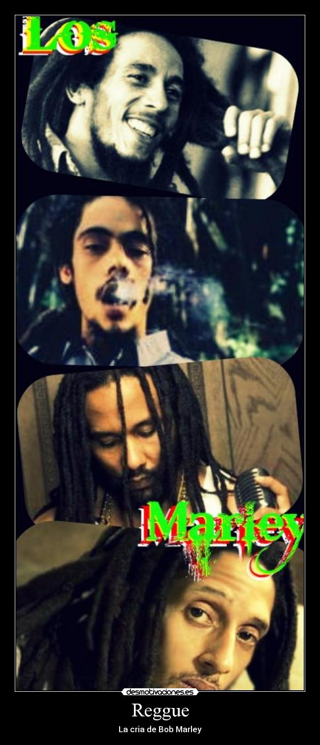 Reggue - La cria de Bob Marley
