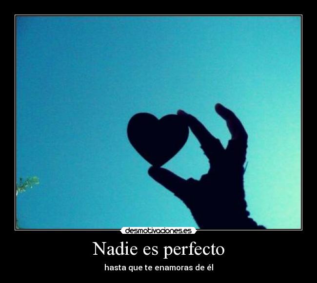 Nadie es perfecto -