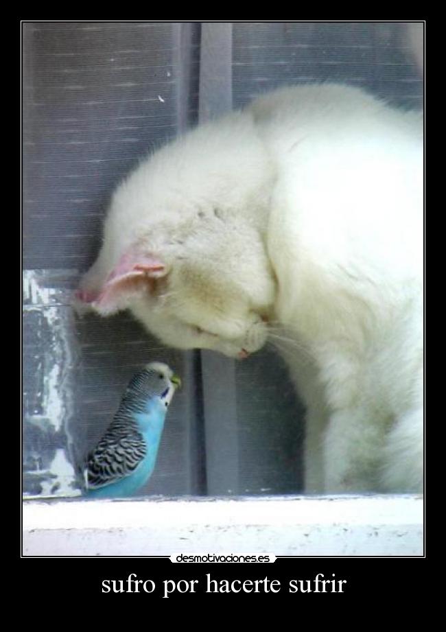 sufro por hacerte sufrir -