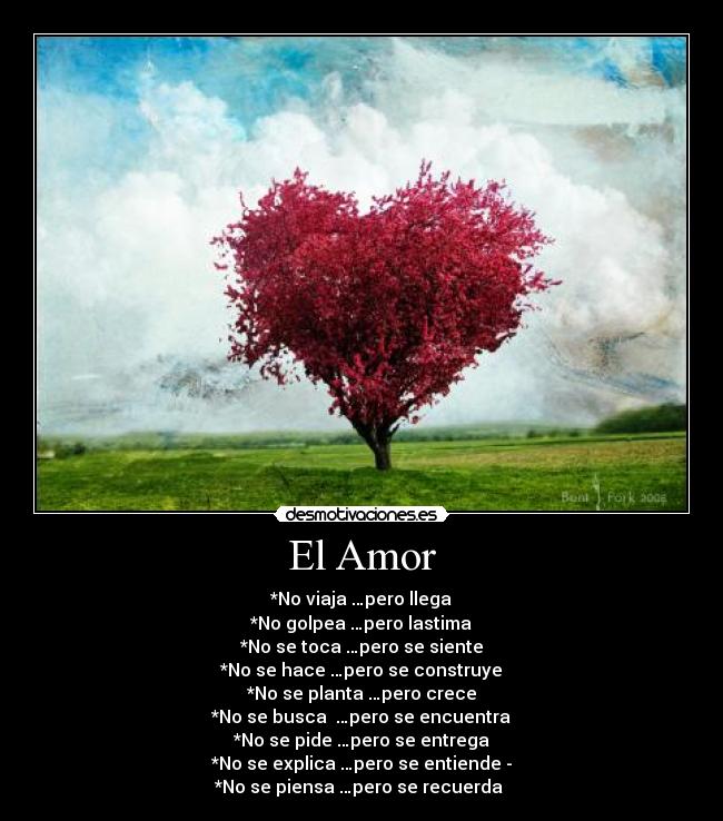 El Amor - 