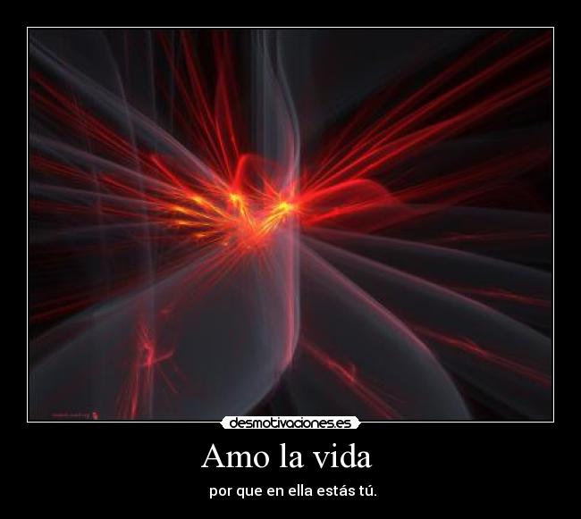 Amo la vida  -  por que en ella estás tú.