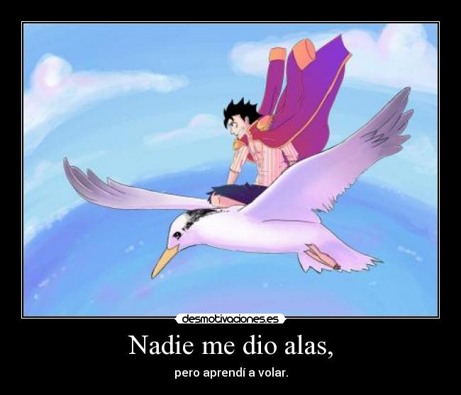 carteles volar nach desafio luffy mugiwarax one piece pajaro desmotivaciones