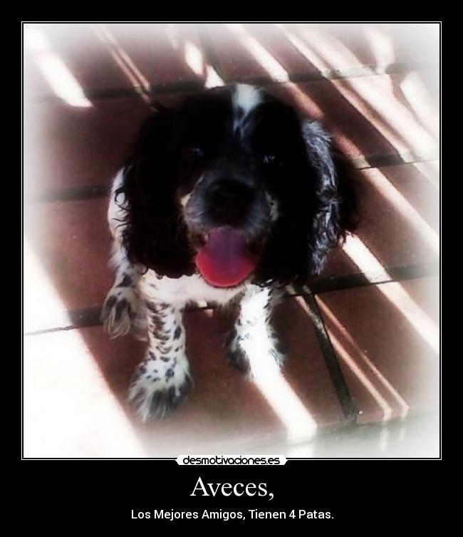 Aveces, - 