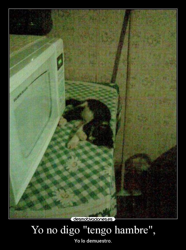 Yo no digo tengo hambre, - Yo lo demuestro.
