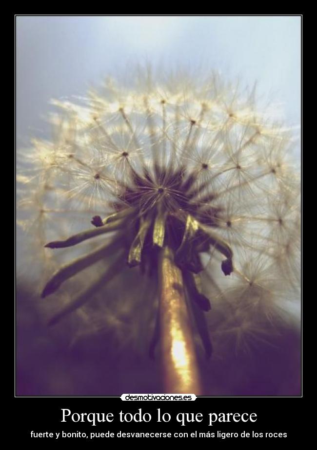 Porque todo lo que parece - fuerte y bonito, puede desvanecerse con el más ligero de los roces