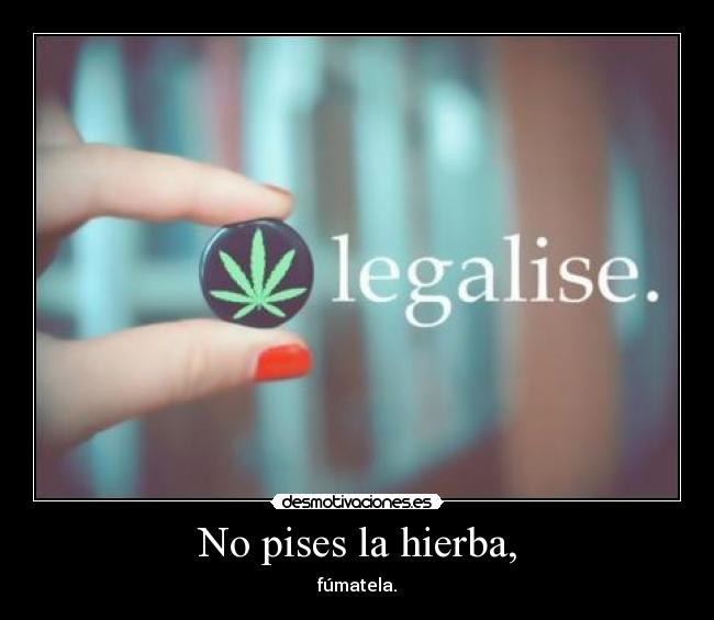 No pises la hierba, -
