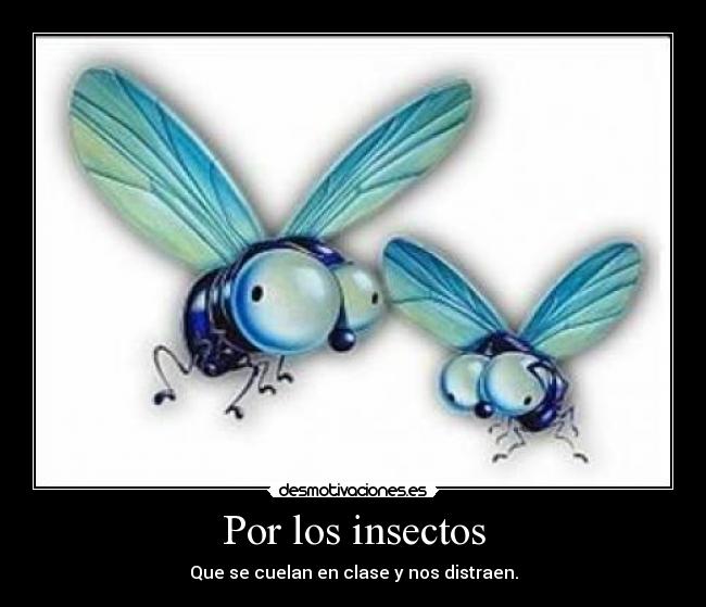 Por los insectos - Que se cuelan en clase y nos distraen.