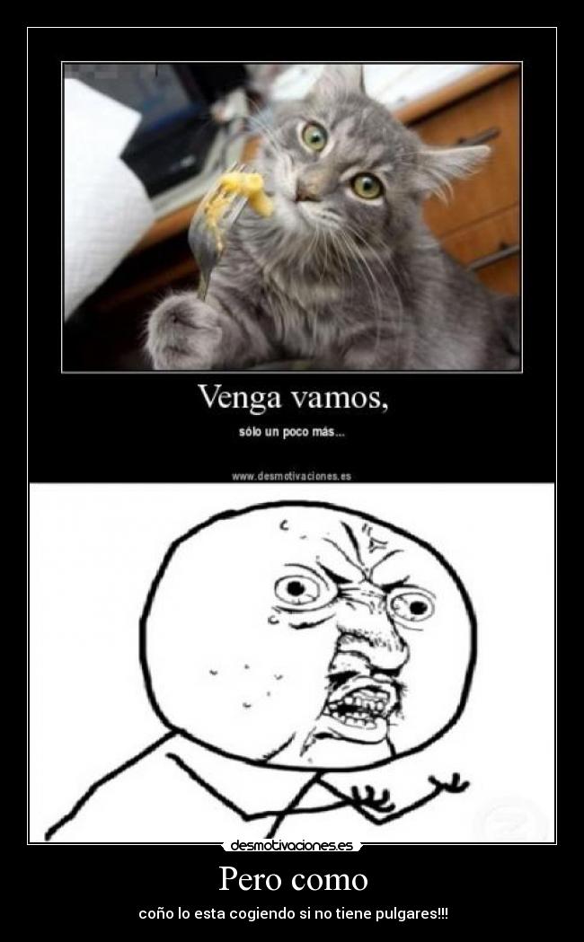 Pero como - coño lo esta cogiendo si no tiene pulgares!!!