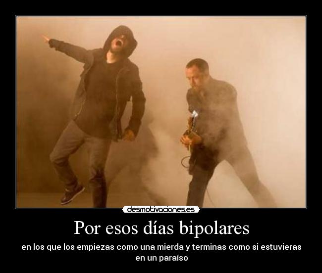 carteles dias bipolares linkin park desmotivaciones