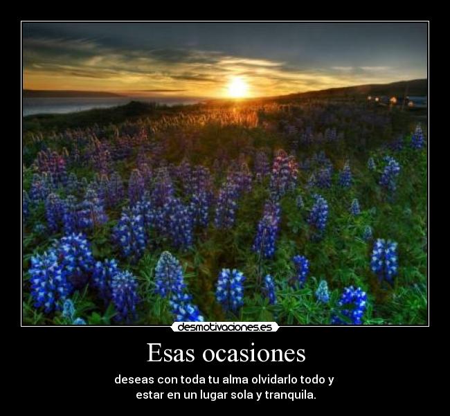 Esas ocasiones - deseas con toda tu alma olvidarlo todo y
estar en un lugar sola y tranquila.