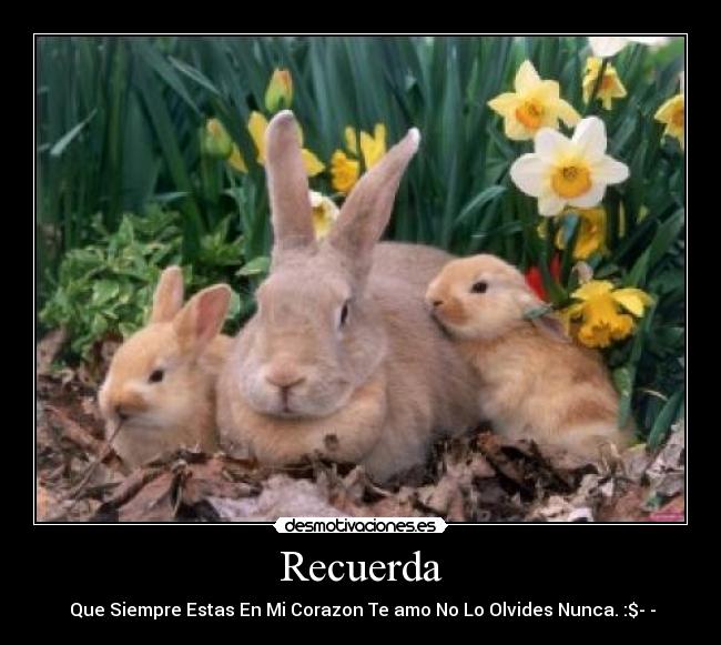 Recuerda -  Que Siempre Estas En Mi Corazon Te amo No Lo Olvides Nunca. :$­­