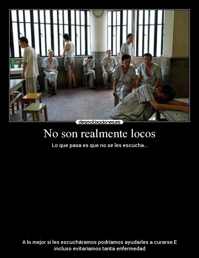 No son realmente locos - 