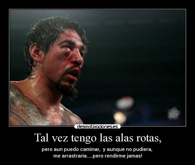 Tal vez tengo las alas rotas, - pero aun puedo caminar,  y aunque no pudiera, 
me arrastraría.....pero rendirme jamas!