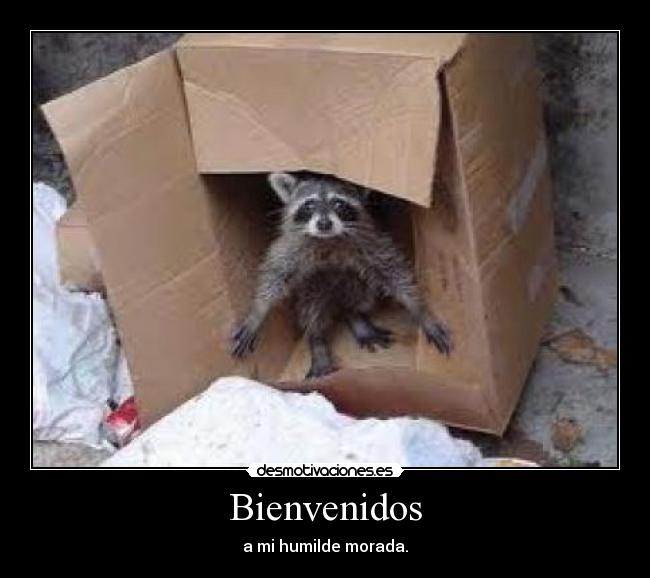 carteles bienvenidos humilde morada desmotivaciones