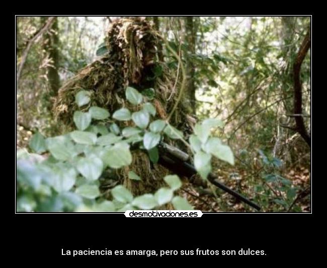 - La paciencia es amarga, pero sus frutos son dulces.