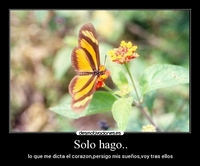 Solo hago.. - lo que me dicta el corazon,persigo mis sueños,voy tras ellos