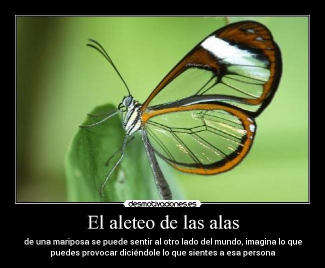 El aleteo de las alas - 