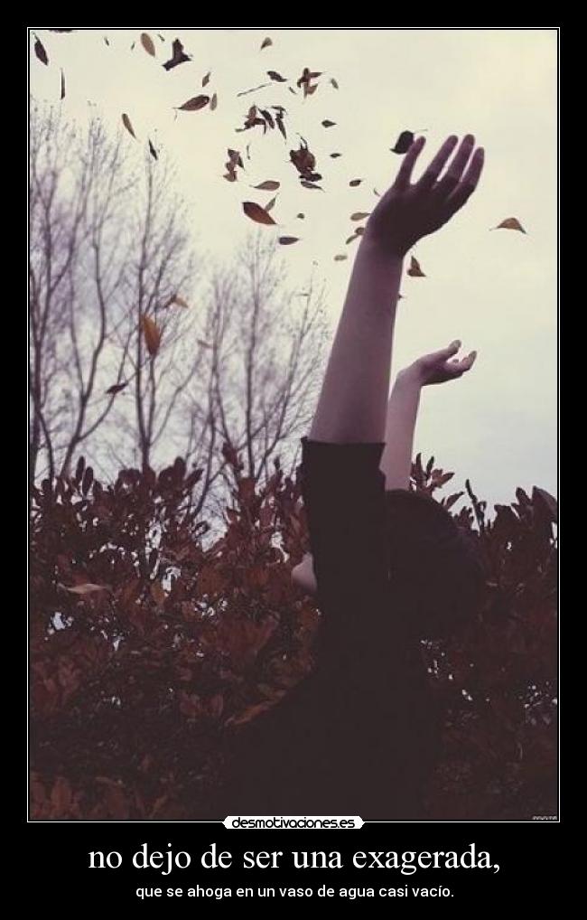 no dejo de ser una exagerada, -