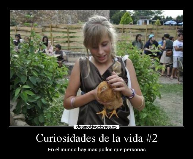 Curiosidades de la vida #2 - En el mundo hay más pollos que personas