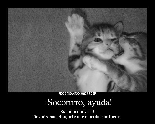 -Socorrrro, ayuda! -