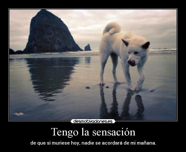 Tengo la sensación - de que si muriese hoy, nadie se acordará de mi mañana.