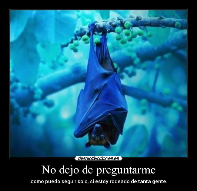 No dejo de preguntarme - como puedo seguir solo, si estoy rodeado de tanta gente.