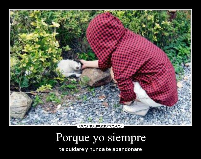 Porque yo siempre - te cuidare y nunca te abandonare