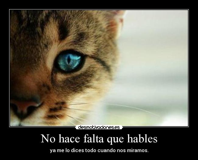 No hace falta que hables - ya me lo dices todo cuando nos miramos.