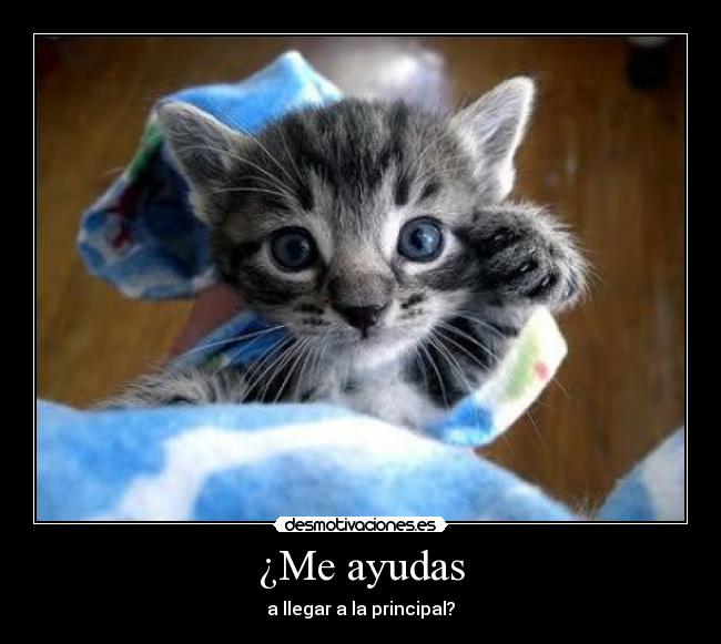 ¿Me ayudas - 