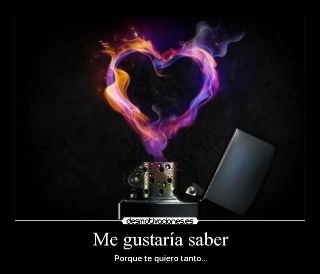 Me gustaría saber -