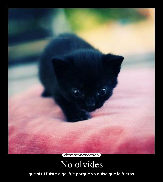 carteles dorydop desmotivaciones