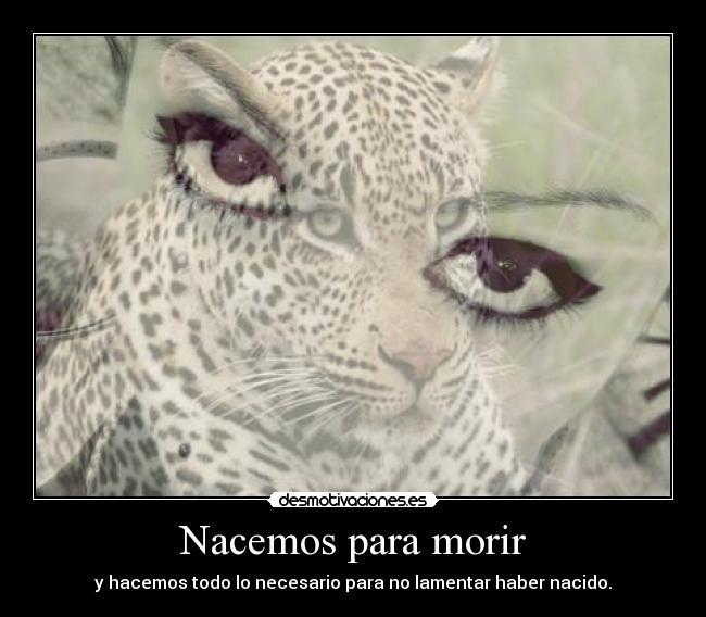 Nacemos para morir - y hacemos todo lo necesario para no lamentar haber nacido.
