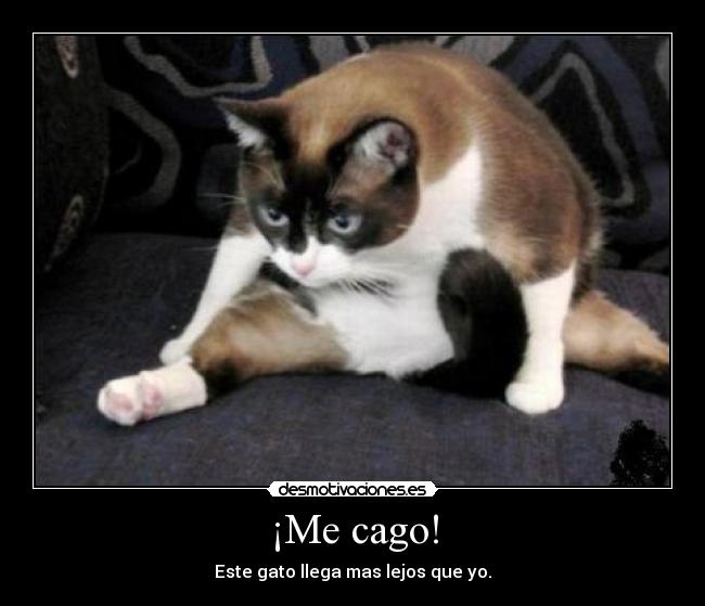 ¡Me cago! - 