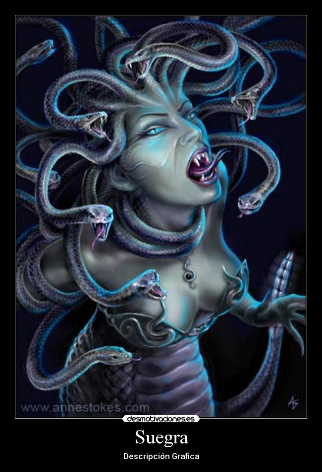 carteles lrc1894 dice conozcan suegra desmotivaciones