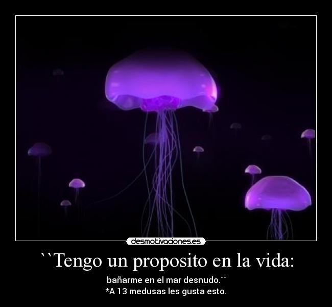 ``Tengo un proposito en la vida: - 