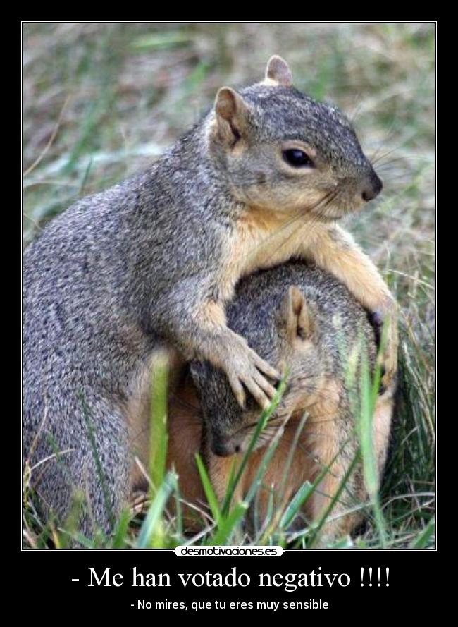 carteles clanvirus hasta las ardillas tienen lios con trolls desmotivaciones