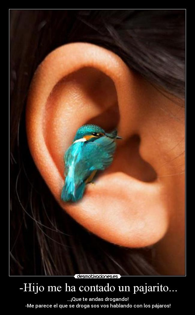 -Hijo me ha contado un pajarito... - ...¡Que te andas drogando!
-Me parece el que se droga sos vos hablando con los pájaros!