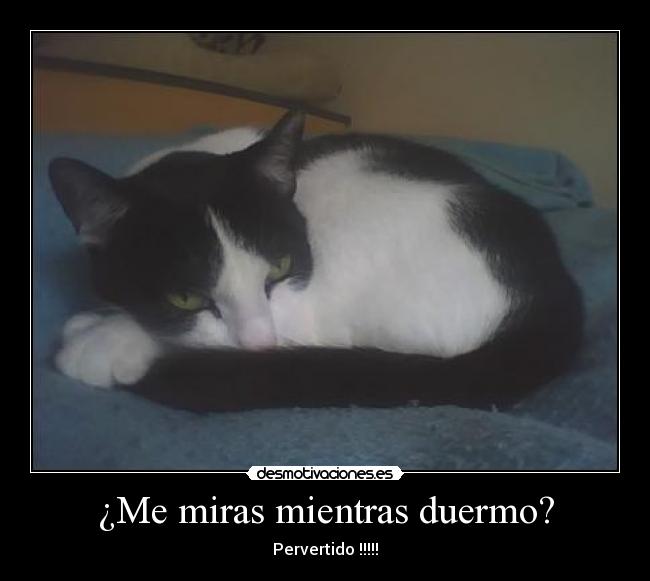 carteles clanvirus puede con sigilo ella espia siempre desmotivaciones