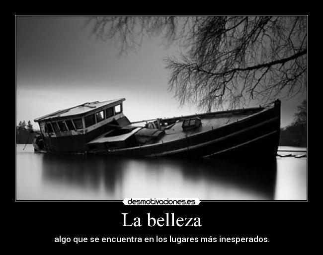 La belleza -