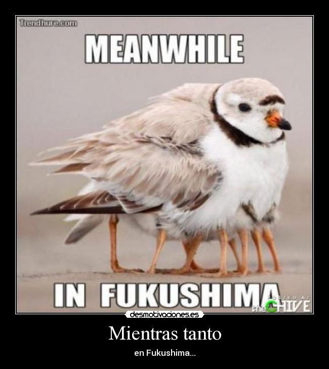 Mientras tanto - en Fukushima...