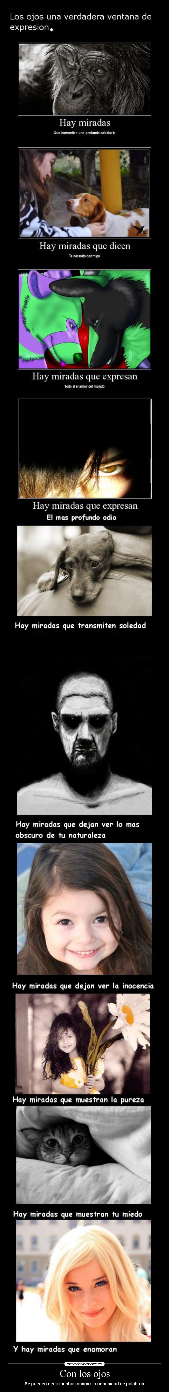 carteles lrc1894 miradas aunque nadie mire mis carteles desmotivaciones