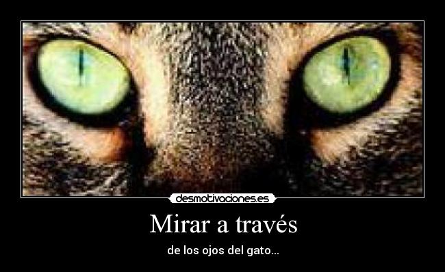 Mirar a través -