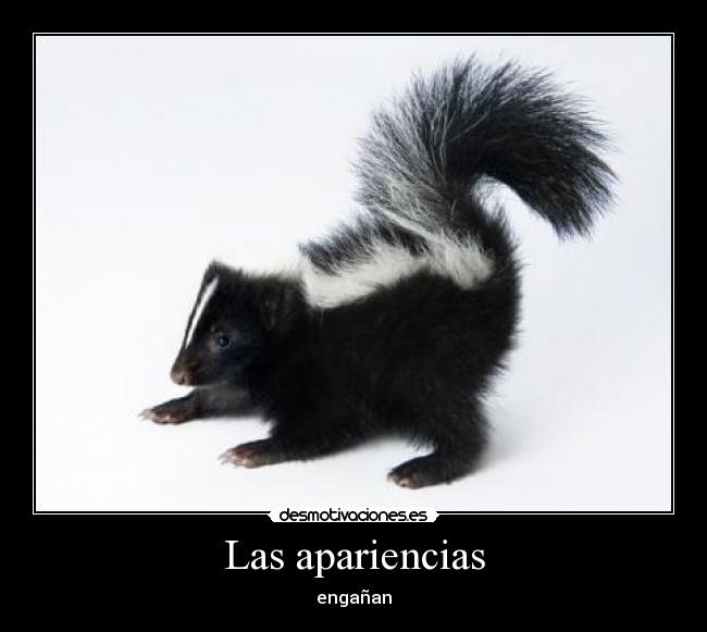 Imágenes y Carteles de MOFETA | Desmotivaciones