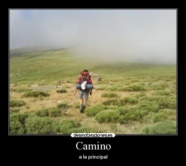 Camino - a la principal