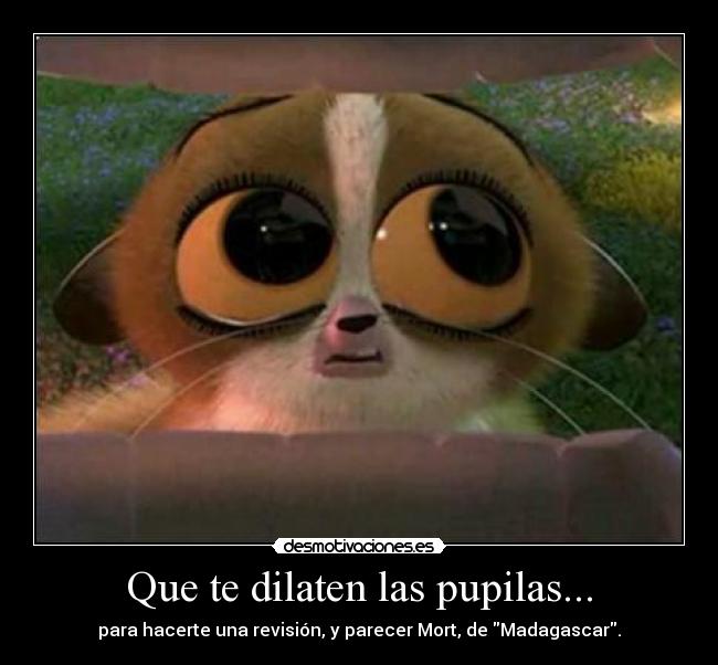 Que te dilaten las pupilas... - para hacerte una revisión, y parecer Mort, de Madagascar.