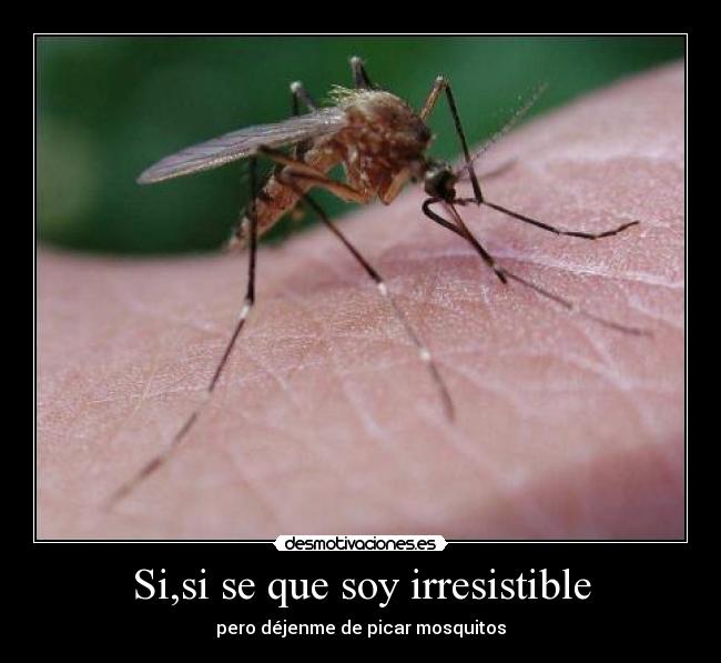 Si,si se que soy irresistible -