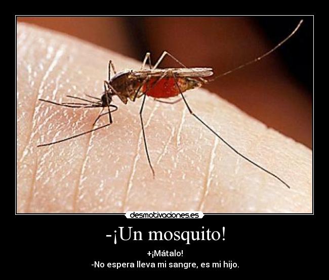 -¡Un mosquito! - 