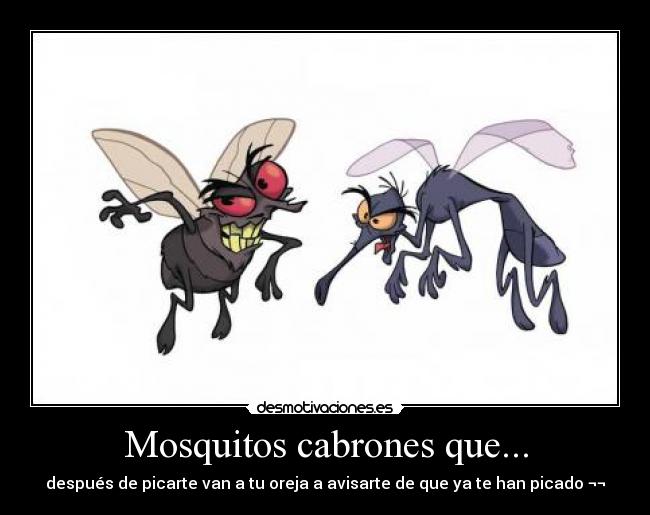 Mosquitos cabrones que... - después de picarte van a tu oreja a avisarte de que ya te han picado ¬¬