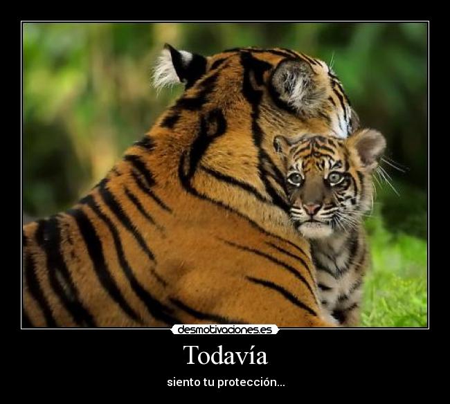 Todavía - siento tu protección...